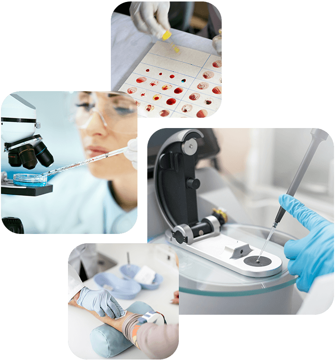 https://nexchemia.com/wp-content/uploads/2020/04/experience_01.png